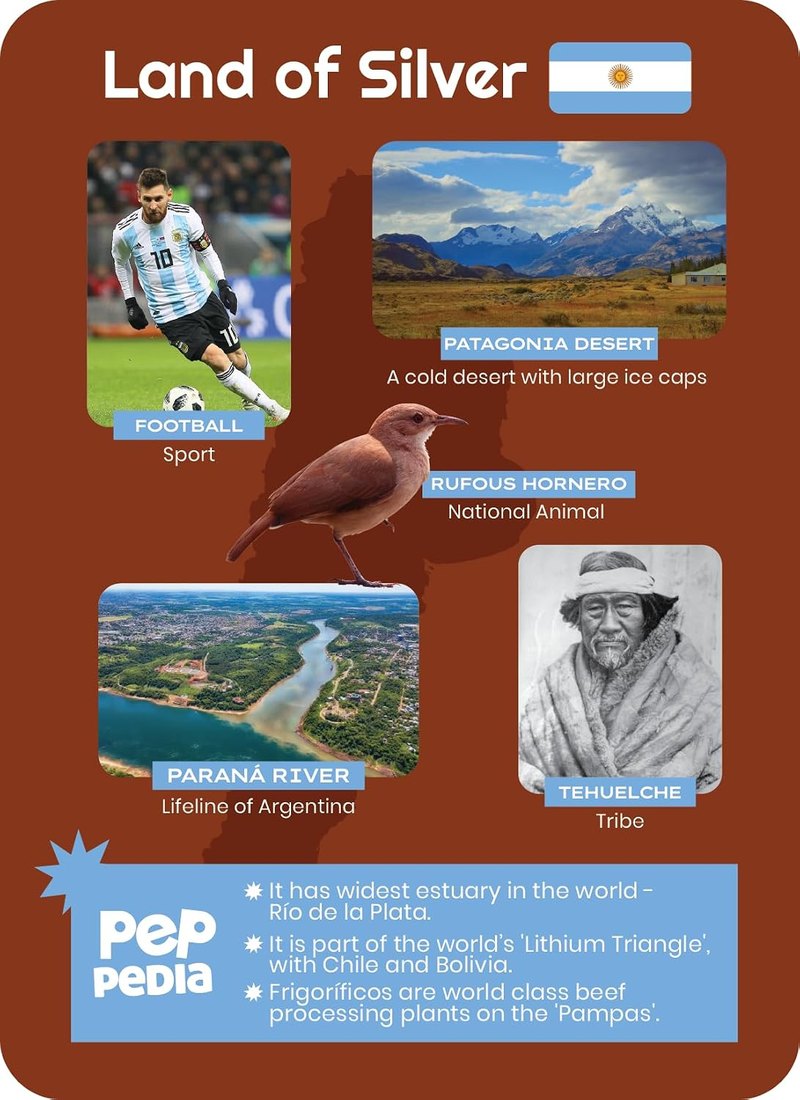 Argentina card back — Land of Silver, football, Patagonia Desert, Rufous Hornero, Paraná River, Tehuelche